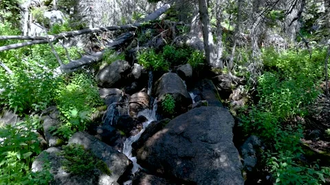 Cascade in Forest Stock Footage 147931083