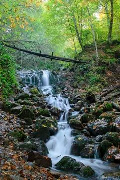 Cascade in forest Stock Photos