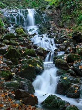 Cascade in forest Stock Photos