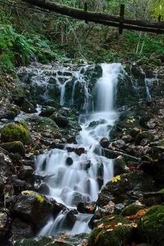Cascade in forest Stock Photos
