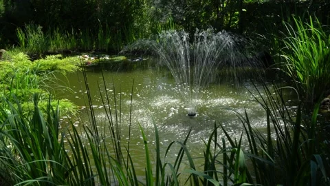 Cascade fountain on emerald surface of pond in old shady garden Stock Footage 134041952