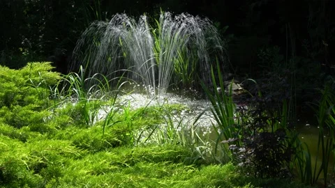 Cascade fountain on emerald surface of pond in old shady garden Stock Footage 134463151