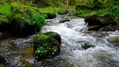 Cascade on a little river in the austrian valley thurytal Stock Footage 126819953