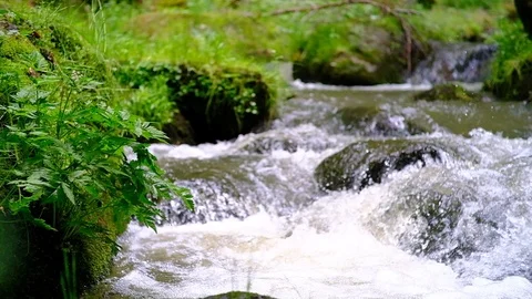 Cascade on a little river in the austrian valley thurytal Stock Footage 126820161