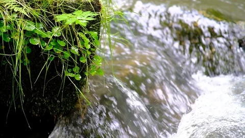 Cascade on a little river in the austrian valley thurytal Stock Footage 126820238