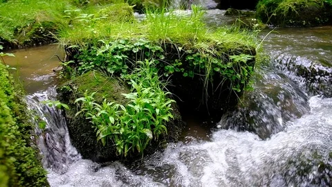 Cascade on a little river in the austrian valley thurytal Stock Footage 126820537