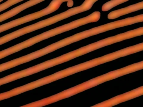 Cascade loop pj 库存影片 584757