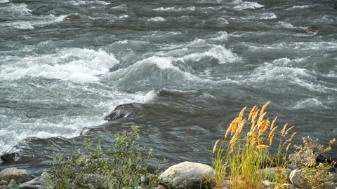 Cascade of the mountain river. Water flowing through rock in river during hike Stock Footage 135642866