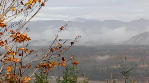 Cascade mountains autumn Stock Footage