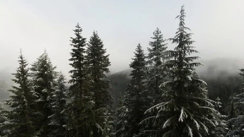 Cascade Mountains - First snowfall of the year Stock Footage 118017258