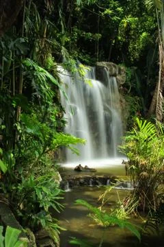 Cascade in the nature Stock Photos