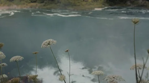 Cascade Niagara falls Stock Footage 76360287