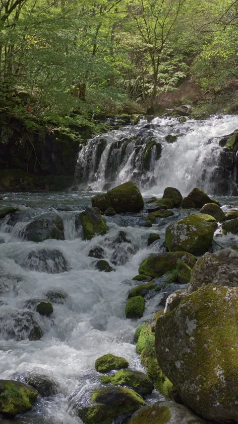 Cascade Over Mossy Boulders in Forest Vertical Video Видео 346074166