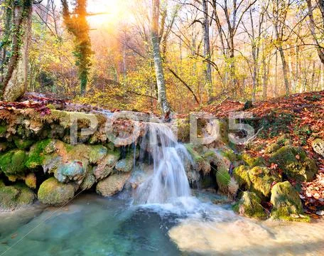 Cascade Stock Photos