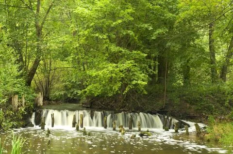 Cascade Stock Photos