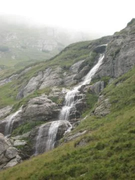 Cascade Stock Photos