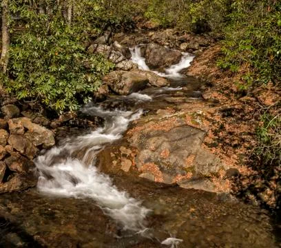 Cascade Stock Photos