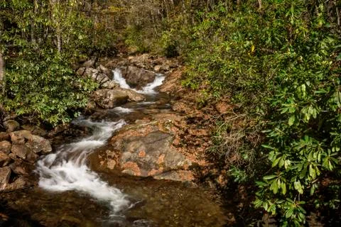 Cascade Stock Photos