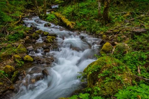 Cascade Stock Photos