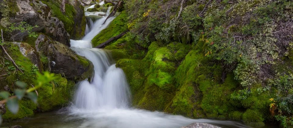 Cascade Stock Photos