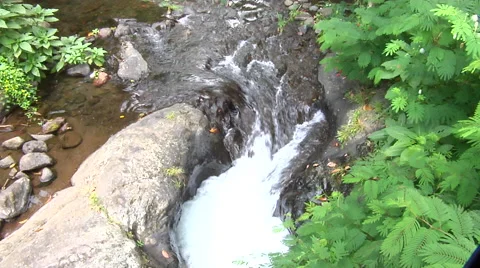 Cascade in the rain forest in Bali Stock Footage 41380542