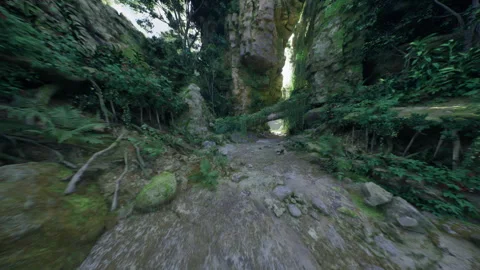 Cascade of rain leaves gorge shimmering with wet stones and lush vegetation Stock Footage 340657618