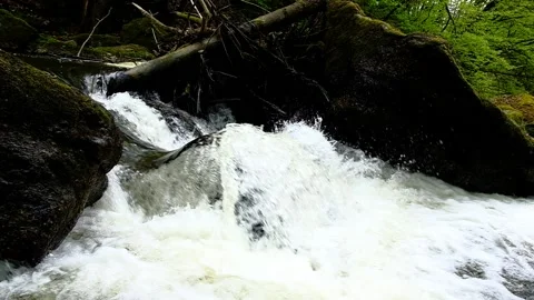 Cascade on the river aist in the valley aisttal Stock Footage 153599331