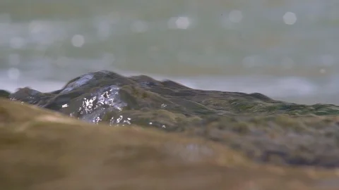 Cascade on the river enns in austria Stock Footage 126894095