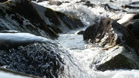 Cascade on the river enns in austria Stock Footage 126894922