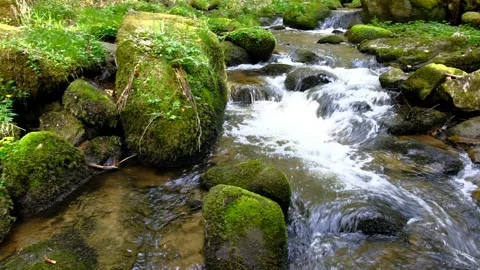 Cascade on the river in the upper austrian valley thurytal Stock Footage 153838597