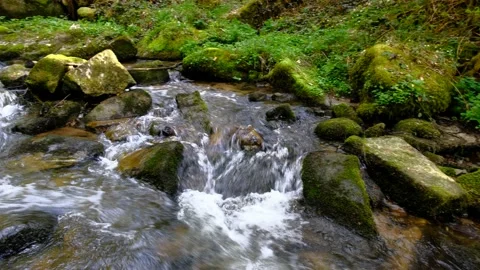 Cascade on the river in the upper austrian valley thurytal Stock Footage 153838621