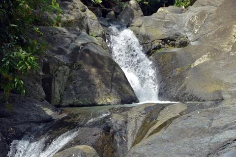 A cascade of a rocky river in the forest. Stock Photos