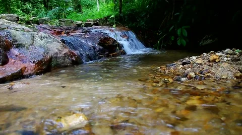 Cascade scene in forest Stock Footage 56067343
