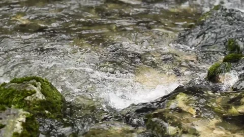 Cascade on shallow mountain creek close up Stock Footage 300247962