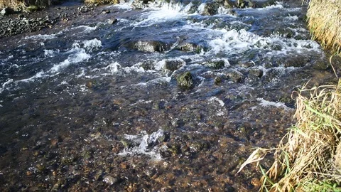 Cascade on a small river Stock Footage 126521107