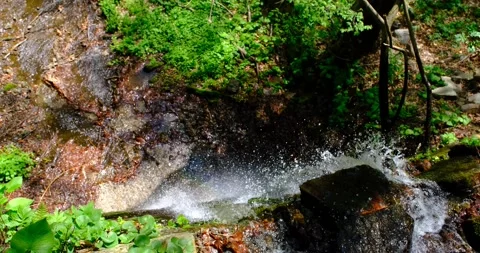 Cascade stream in Cindrel mountains, Romania Stock Footage 239940069