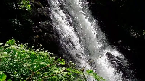 Cascade stream Stock Footage 240536727