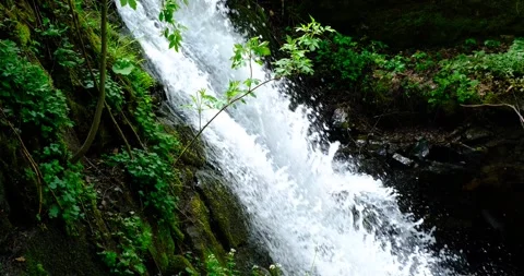Cascade stream Stock Footage 240536860