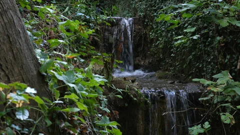 Cascade stream in the forest in a natural park. Stockbeeldmateriaal 97220499