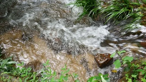 Cascade of the tropical stream Video stock 78146400