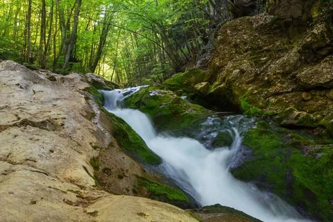 Cascade Water cascade in green spring forest. Copyright: xZoonar.com/Galyn... 스톡 사진