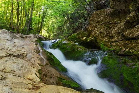 Cascade Water cascade in green spring forest. Copyright: xZoonar.com/Galyn... 스톡 사진