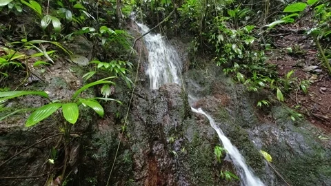 Cascade Water Timelapse 動画素材 196728283