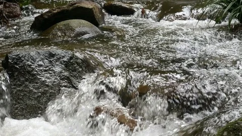 Cascade of the waterfall Stock Footage 78146646