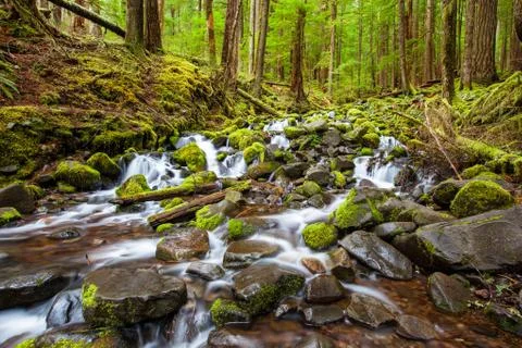 Cascade waterfall in the forest Stock Photos