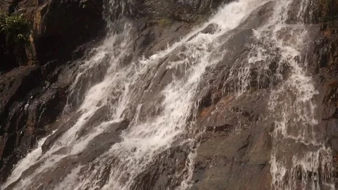 Cascade waterfall in picturesque jungle rainforest Stock Footage 111440357