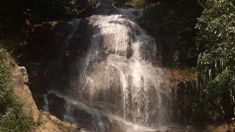 Cascade waterfall in picturesque jungle rainforest 動画素材 111440560