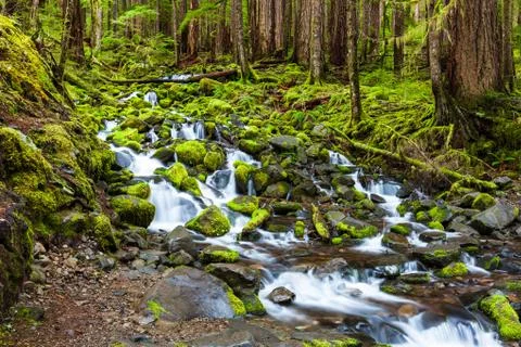 Cascade waterfall in rain forest Stock Photos
