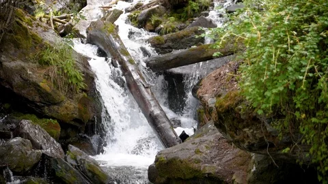 Cascade waterfall slow motion. Streams of water among huge boulders and fallen 스톡 동영상 95524037