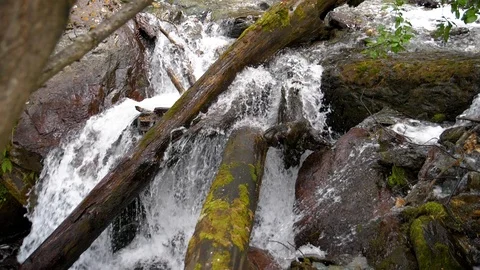 Cascade waterfall slow motion. Streams of water among huge boulders and fallen Video stock 95524391